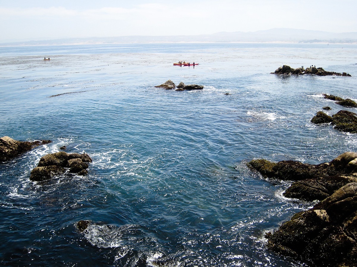 Monterey Harbor