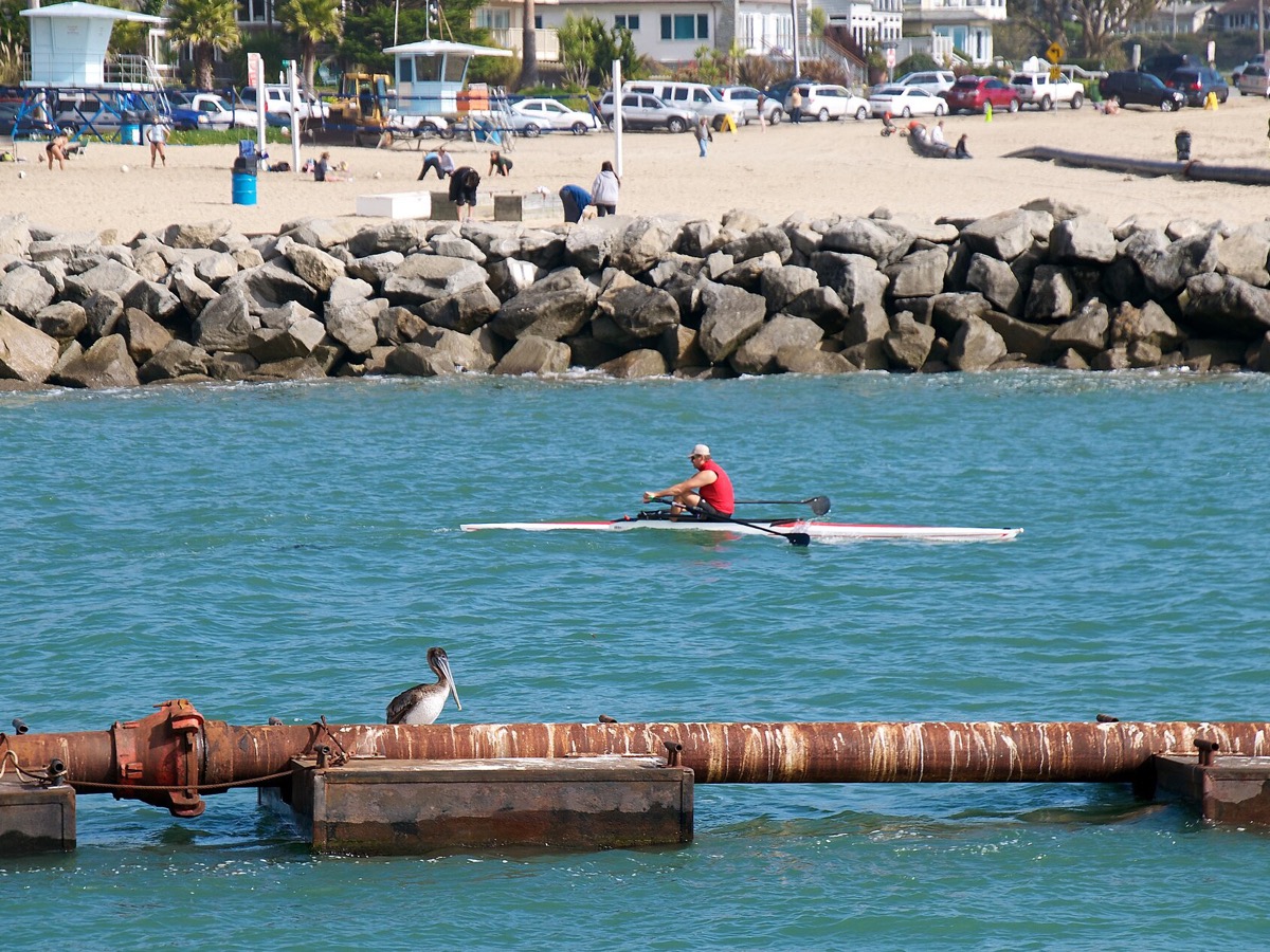 Santa Cruz Harbor